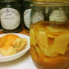 第15回「ショウガの効能」