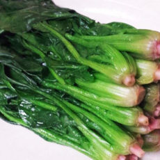 第19回「旬のホウレンソウ」