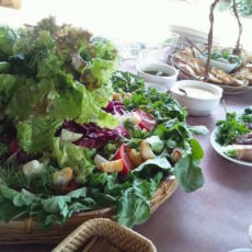 ベジラボコラム「子どもの野菜嫌いをなくす方法」その4
