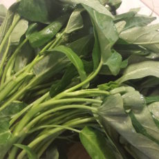 第45回「空芯菜」