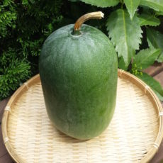 第46回「冬瓜」