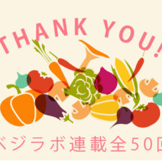 ベジラボコラム連載終了　今までありがとうございました！