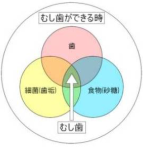 １歳児の歯は歯磨き必要か？歯ブラシではなくガーゼ。赤ちゃんの虫歯予防6回