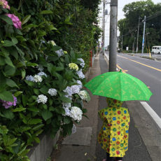雨の日に子どもと盛り上がる!おうち遊び5選とレイングッズ