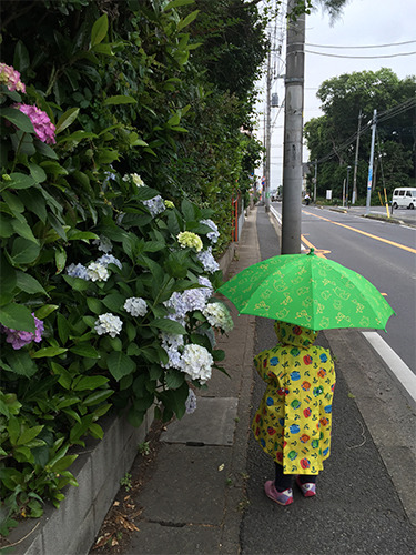 雨の日に子どもと盛り上がる！おうち遊び5選とレイングッズ