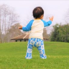 授乳中の離乳食、授乳回数を減らし断乳・卒乳へ 母乳育児第1回part1