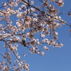 温育コラムvol.8 自然の移ろいと共に暮らす