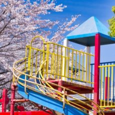 【入園準備】幼稚園・保育園の入園前に読みたい絵本