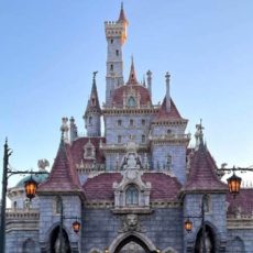 ディズニーリゾートレポ！人数制限中のディズニーランドの様子って？？