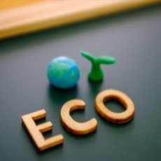 ごみゼロの日（５月30日）は親子で楽しくエコ活動をしよう