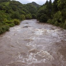 大雨・台風「水害」に備え、事前に知っておきたい情報サイト