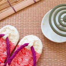 100円アイテムで解決！夏の虫よけ対策