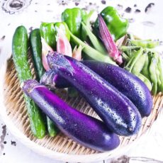 夏の野菜「ズッキーニ・きゅうり・枝豆・ナス」栄養、美味しさの見分け方、離乳食にもなるレシピを学ぼう!