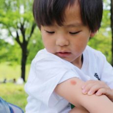 足裏をアルコール消毒するだけで虫よけ効果!?手作り虫よけスプレーも紹介