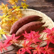 【100円】油で揚げないポテトチップスを作ってみよう～秋の味覚を楽しむ100円調理グッズ～