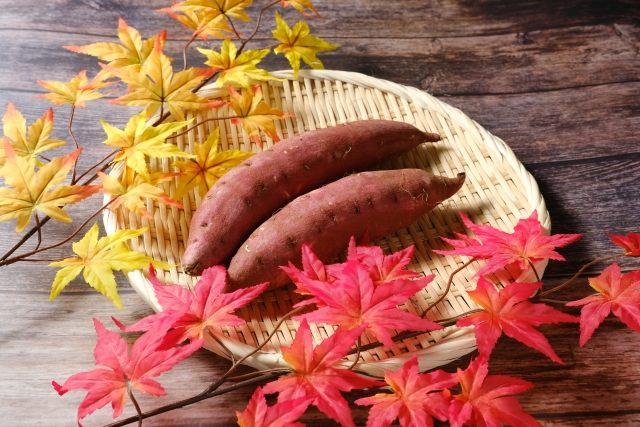 【100円】油で揚げないポテトチップスを作ってみよう～秋の味覚を楽しむ100円調理グッズ～